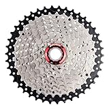 mtb freilauf wackelt MTB Freilauf für Einzelscheibe, kompatibel mit SRAM / Shimano