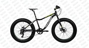 raleigh big sam cycle