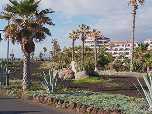 Preisvergleich Produktbild Lais Puzzle Teneriffa 1000 Teile