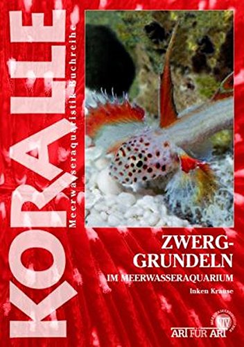 Download Zwerggrundeln: im Meerwasseraquarium (Koralle) Download Zwerggrundeln: im Meerwasseraquarium (Koralle)