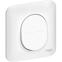 Schneider Unica Pro NU400618 piastra di copertura - Bianco con finiture