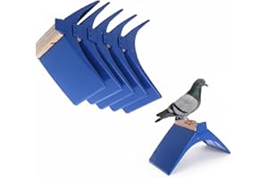SUPVOX Posatoio Per Piccioni Plastica E Legno Solido: 5 Pezzi Supporto Per Colombe Blu 9X4.6X4.3 Pollici Posatoi Per Uccelli Accessori Per Piccioni Per Gioco E Riposo