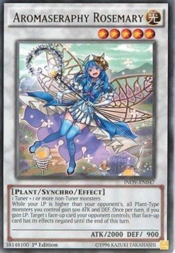 Preisvergleich Produktbild Aromaseraphie Rosmarin - INOV-DE047 - Rare - 1. Auflage