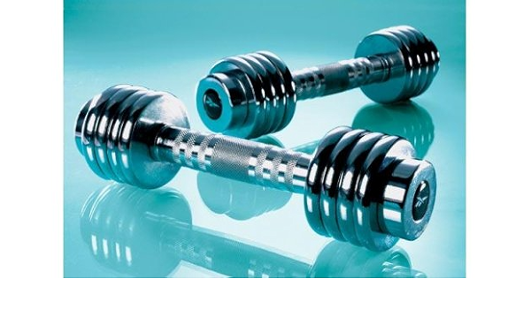 reebok dumbbell set with case