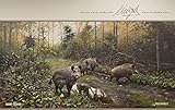Wild - Miguel Angel Moraleda Kalender 2016 by 