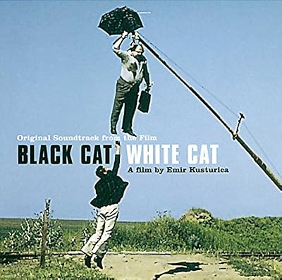 Barclay Chat noir, chat blanc
