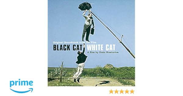 Black Cat White Cat Chat Noir Chat Blanc