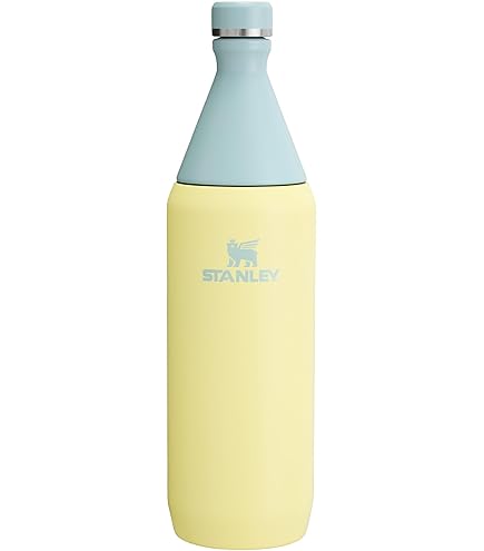 Stanley 20oz Vaccum lnsulated bottle 水筒 Stanley Classic Vacuum Water Bottle, Stainless Steel, 36 oz