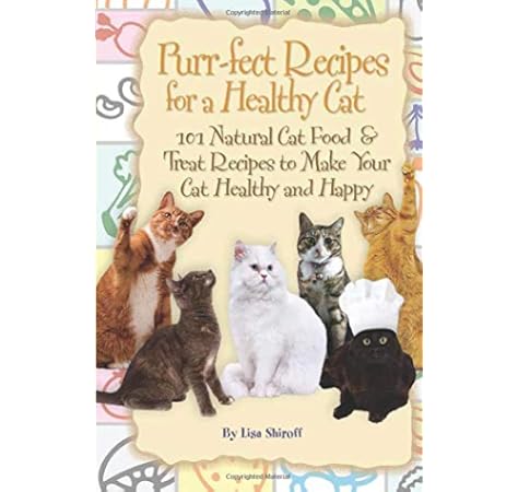 natural cat food recipes