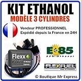 Kit Ethanol Flex Fuel - E85 - Bioethanol - 3 Cylindres + Interface de Diagnostic ELM327 - Compatible avec Renault, Peugeot, Citroen, Ford, BMW, Audi. (Nippon Denso)