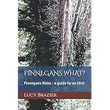 Finnegans What?: Finnegans Wake - A guide by an idiot