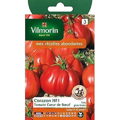 Vilmorin : Tomate Coeur De Boeuf Corazon - En Sachet