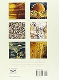 Image de The Handbook of Painted Decoration: The Tools, Materials, and Step-By-Step Techniques of Trompe-L'Oeil Painting