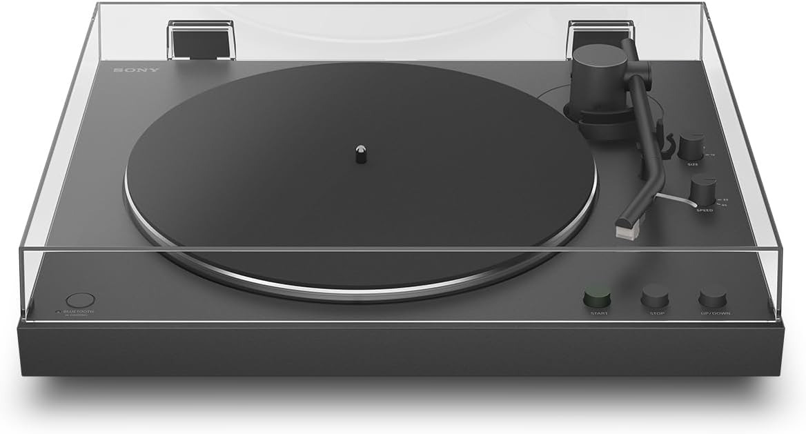 Vue 8