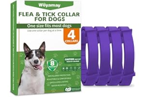 Woyamay Collier Anti Puces pour Chien, 4 Pièces Collier Anti Tique Chien Réglable Résistant à l'eau, 8 Mois de Protection Naturelle Collier Chien Anti Puces et Tiques pour Chien Tous âges, Violet