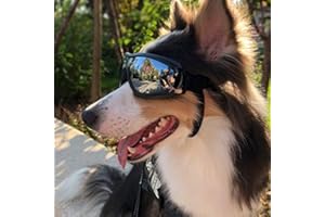PETIFIC Modische Haustierbrille mit verstellbarem Riemen, UV-Sonnenbrille, Augenschutz, Schutzbrille, Hunde-Sonnenbrille, wasserdicht, winddicht, Augenschutz, Staubschutz für große/mittelgroße Hunde