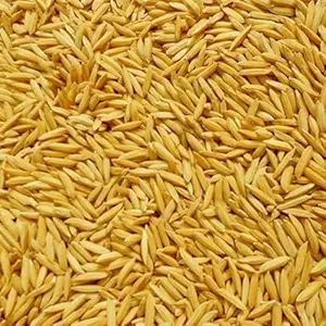 Bird Food Premium Rice Paddy Seeds from Kerala , Nellu 450 Grams Enriched with Cuttlefish Bone Powder Bird Feeder Food Refill for Wild Birds, Indian Parrot, Sparrow, Pigeons, Doves,