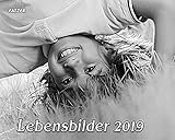 Image de Lebensbilder 2012