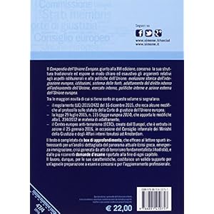 Compendio di diritto dell'Unione Europea. Aspetti istituzionali e politiche dell'Unio