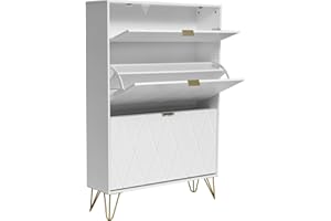 UEV Armoire à Chaussure Inclinable, Meuble à Chaussures pour 16 Paires, 3 Compartiments (2 Rangements Chaussure+1 Étagère Caché) (80 x 24 x 120 cm, Blanc)