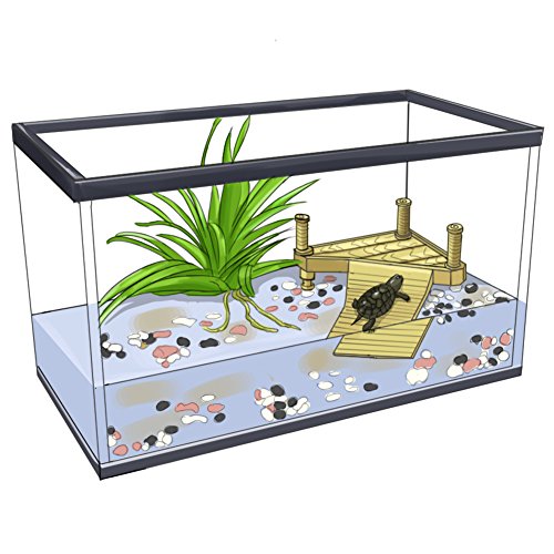 tortoise tank decorations