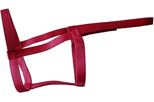 Rhinegold (Metal Free) Field Safe Headcollar