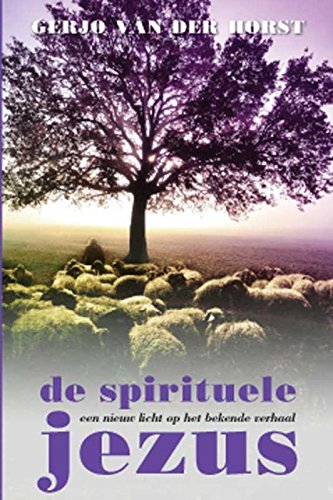 Preisvergleich Produktbild De spirituele Jezus: een nieuw licht op het bekende verhaal