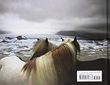 Image de Equus