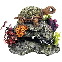 Aquarium