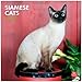 Siamese Cats 2013 - Siam-Katzen - Original BrownTrout-Kalender by 