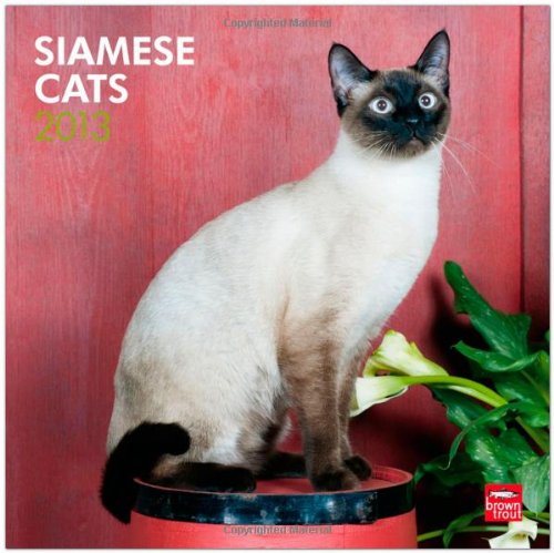 Siamese Cats 2013 - Siam-Katzen - Original BrownTrout-Kalender