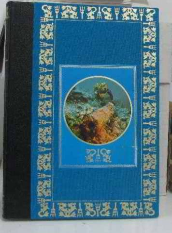 couverture de : Un tr&eacute;sor englouti