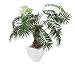 Produktbild Closer 2 Nature P053W Künstliche Kentiapalme 105 cm