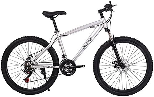 XPDCD Mountain bike / speed 27 (24) (21) 26 inches / 700CC male and female students / men / women / SHIMANO disc brakes / standards ( Color : Silver , Size : Spoke wheel-24 )
