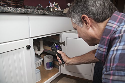 FLIR Wärmebild-IR-Pyrometer, 1 Stück, TG165 - 19