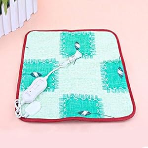 Kicode – Alfombrilla eléctrica de calor para mascotas, cálida, 220 V, color al azar