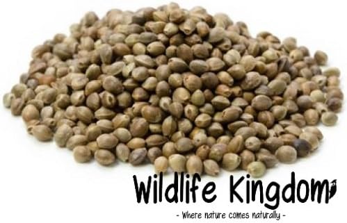 Wildlife Kingdom Premium Hemp Seed Fishing Particle Bait Spodmix Carp Tench Wild Bird Food Feeds (2kg Hemp Seed)