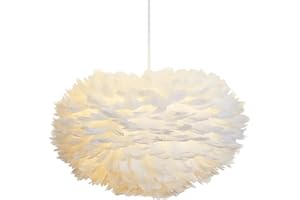 DUNMW 40CM / 15.9" Blanc Plume Pendentif Lumière Tissé À La Main Plume Abat-Jour Suspension Lampe Luminaire Plafonnier Plume Lustre pour Salon, Chambre