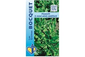 Sachet de graines de Pissenlit à cœur plein amélioré - 0,5 g - légume feuille - LES GRAINES BOCQUET