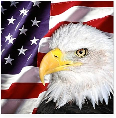 CafePress - Freedom Flag & Eagle Square Sticker 3" X 3 - Square Bumper Sticker Car Decal, 3"x3" (Small) or 5"x5" (Large)
