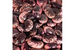 Deli-Vinos Legumes Bohnen, Käferbohnen, groß, rot-schwarz-violett, getrocknet, aus Österreich, 1 kg