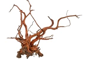 Amtra Legno Red Spider King - Taglia S 25-45 cm, Decorazione in Legno Naturale per Acquari, Tronco naturale ornamentale, Accessorio arredo decorativo per Terrari