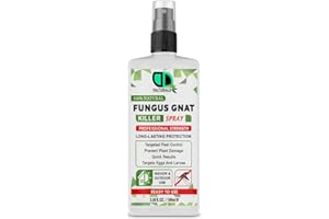 DD Teck 100% Natural Fungus Gnat Killer Spray, Garden & House Plant Bug Killer, Organic Effective, Fast Acting Insect Control, Ideal for Flowers, Vegetables & Shrubs, Indoor & Outdoor (100ml Spray)