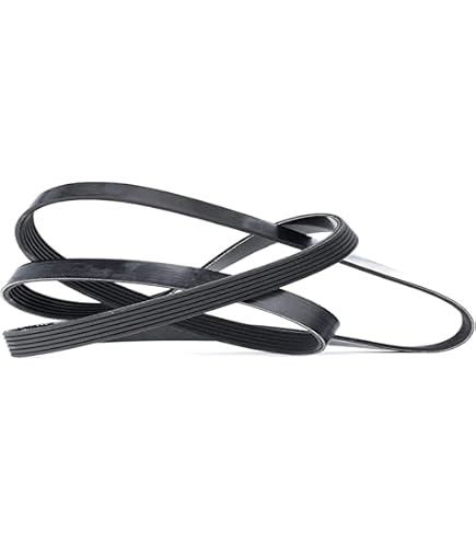 Cinghia Multi-V SKF VKMV 6PK1156 – Ricambio Auto Di Qualità Per Organi Ausiliari