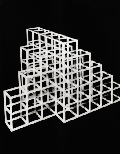 Preisvergleich Produktbild Sol LeWitt: Structures, 1962-93