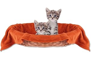 Bestlivings Couverture douillette pour animal de compagnie - Agréable et super douce - Disponible dans de nombreux choix (60 x 80 cm/terre cuite - Marron rouillé)