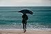 Blunt Umbrellas Mens Black Classic Umbrella From Debenhams One Size