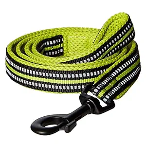 PetsUp Nylon Reflective Leash for Small Medium Large Dogs (Green, 2.5/200 Cm)