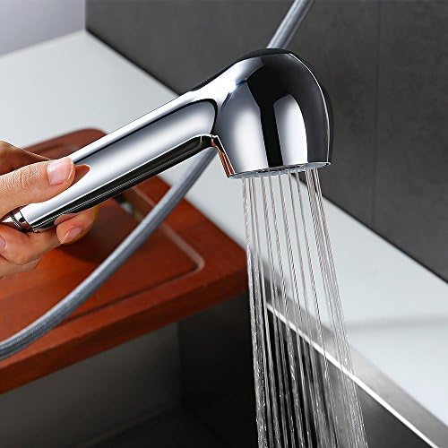 Desfau Dish Rinser 2 Jet Types Replacement Hand Shower Rinsing Spray Gastro Shower Tap for Kitchen Tap Kitchen Tap Sink Tap