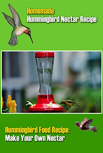 Best Homemade Hummingbird Nectar Recipe Homemade Hummingbird Food